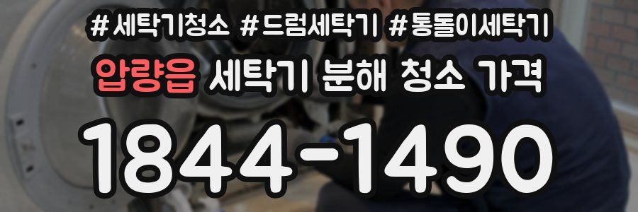 압량읍 세탁기 분해 청소 가격