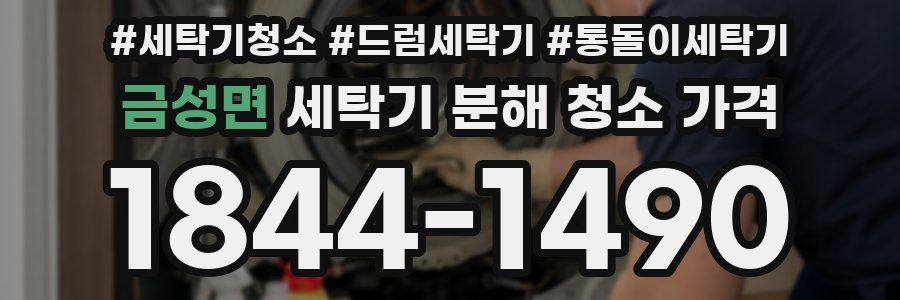 금성면 세탁기 분해 청소 가격