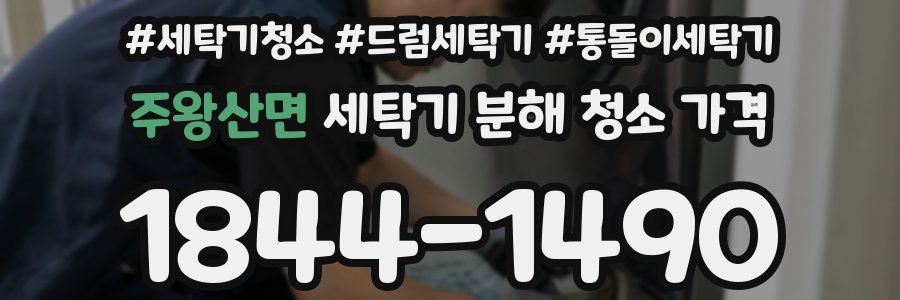 주왕산면 세탁기 분해 청소 가격