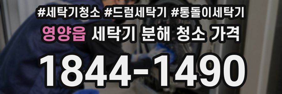 영양읍 세탁기 분해 청소 가격