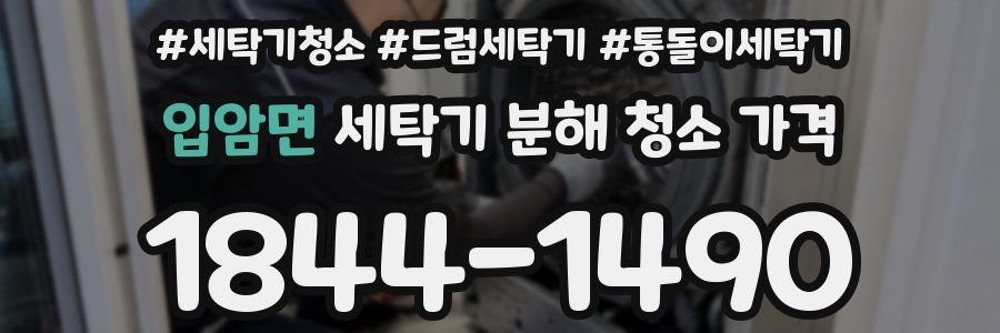 입암면 세탁기 분해 청소 가격