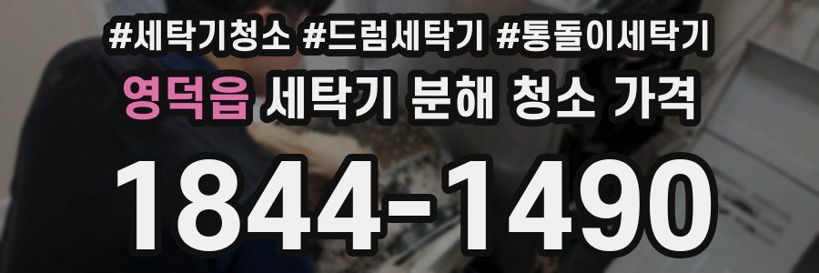 영덕읍 세탁기 분해 청소 가격