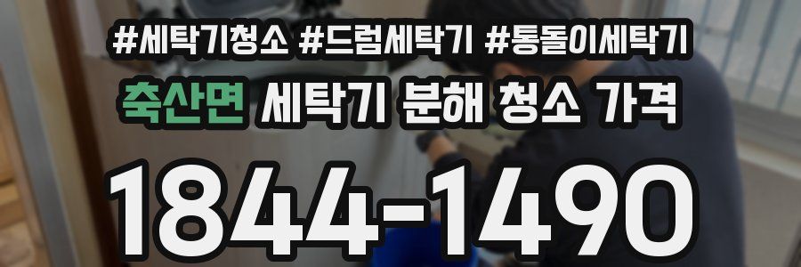 축산면 세탁기 분해 청소 가격