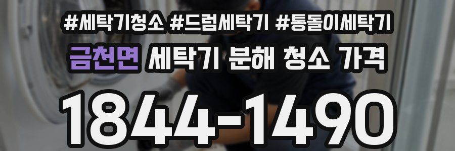 금천면 세탁기 분해 청소 가격