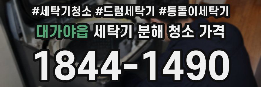 대가야읍 세탁기 분해 청소 가격