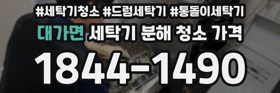 대가면 세탁기 분해 청소 가격