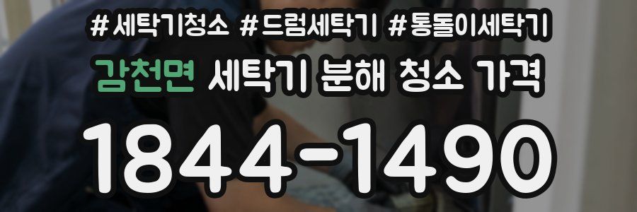 감천면 세탁기 분해 청소 가격