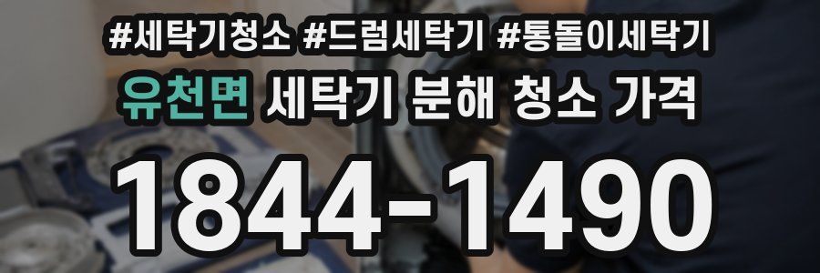 유천면 세탁기 분해 청소 가격