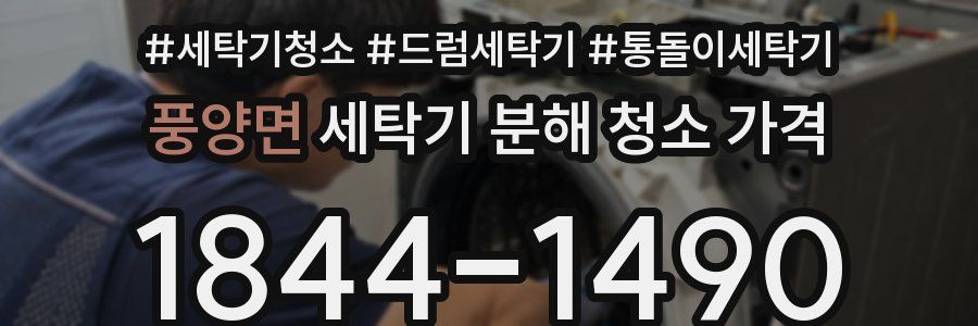 풍양면 세탁기 분해 청소 가격