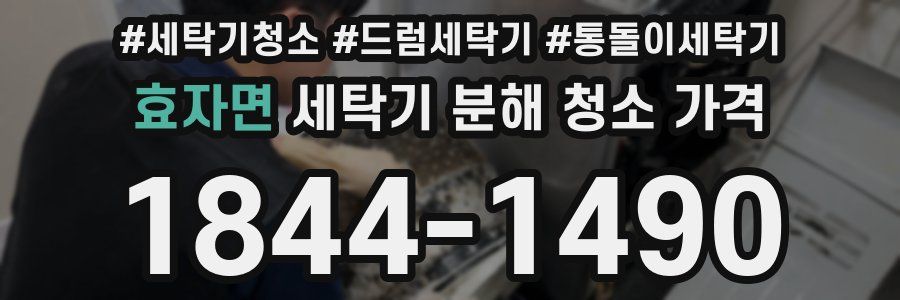 효자면 세탁기 분해 청소 가격