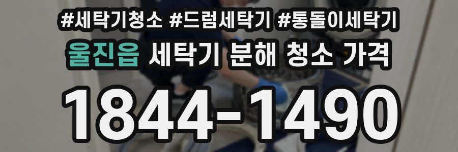 울진읍 세탁기 분해 청소 가격