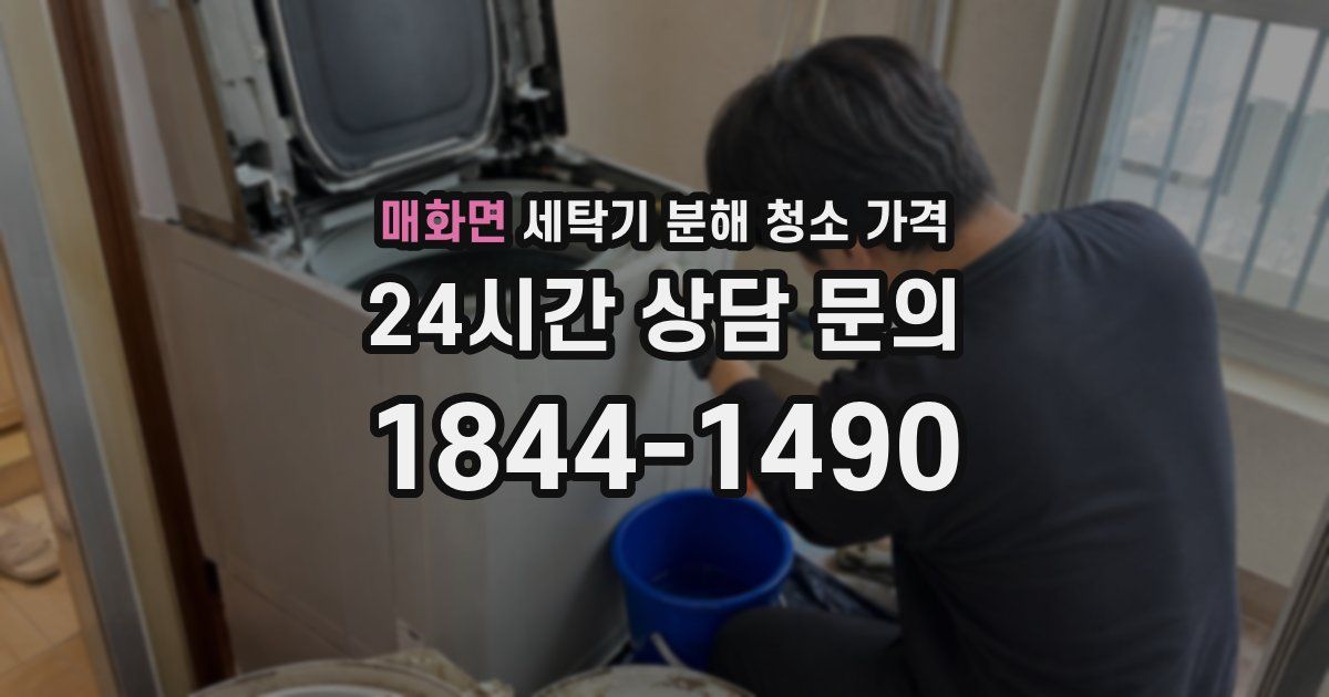 매화면 세탁기 분해 청소 가격