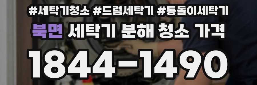 북면 세탁기 분해 청소 가격