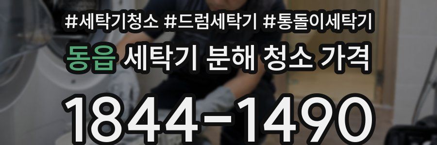 동읍 세탁기 분해 청소 가격