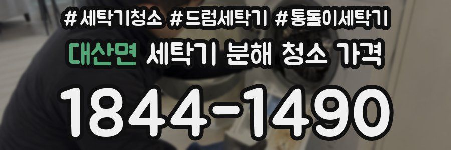 대산면 세탁기 분해 청소 가격