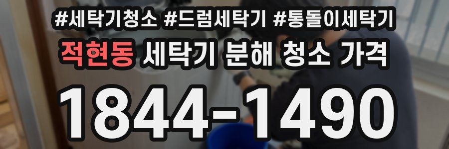 적현동 세탁기 분해 청소 가격