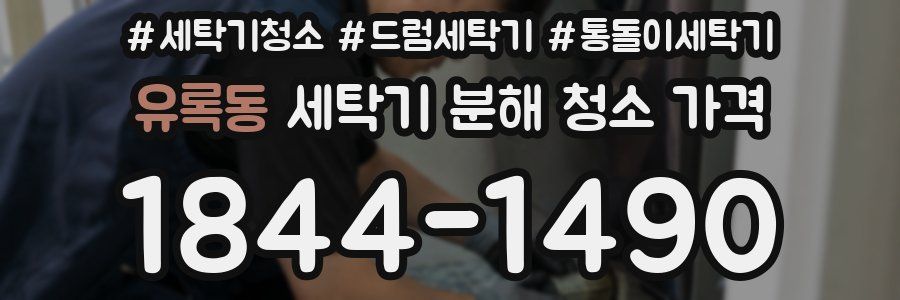 유록동 세탁기 분해 청소 가격