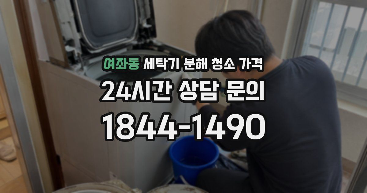 여좌동 세탁기 분해 청소 가격