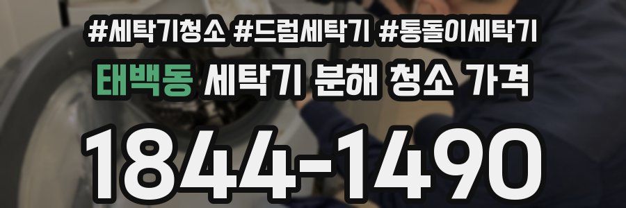 태백동 세탁기 분해 청소 가격