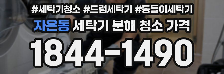 자은동 세탁기 분해 청소 가격