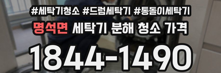명석면 세탁기 분해 청소 가격
