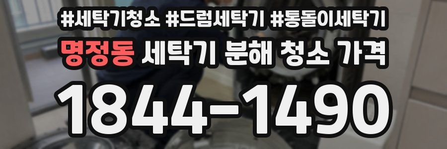 명정동 세탁기 분해 청소 가격