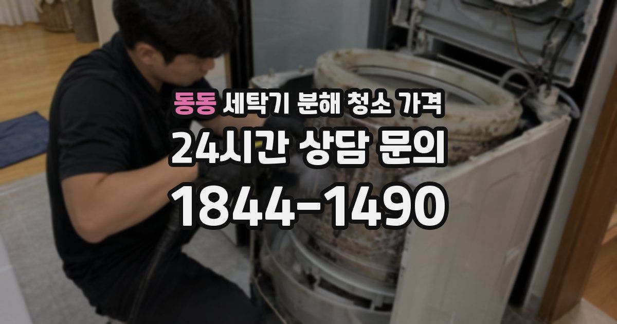 동동 세탁기 분해 청소 가격