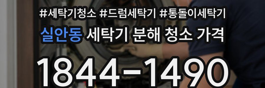 실안동 세탁기 분해 청소 가격
