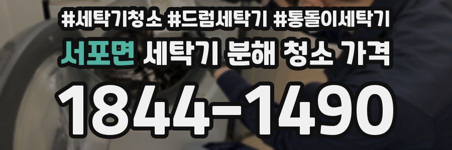 서포면 세탁기 분해 청소 가격