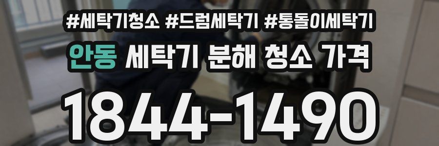 안동 세탁기 분해 청소 가격