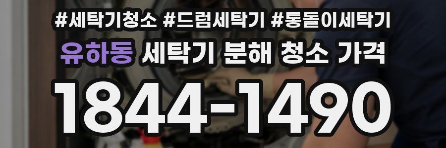 유하동 세탁기 분해 청소 가격