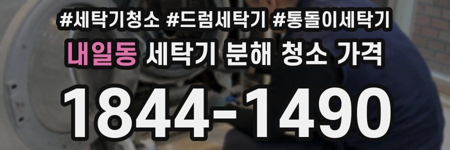 내일동 세탁기 분해 청소 가격