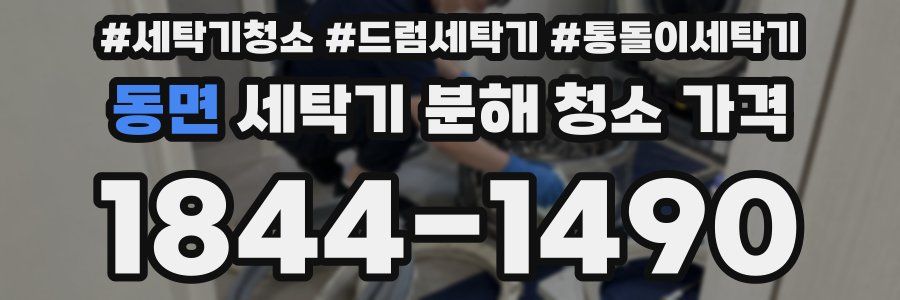 동면 세탁기 분해 청소 가격