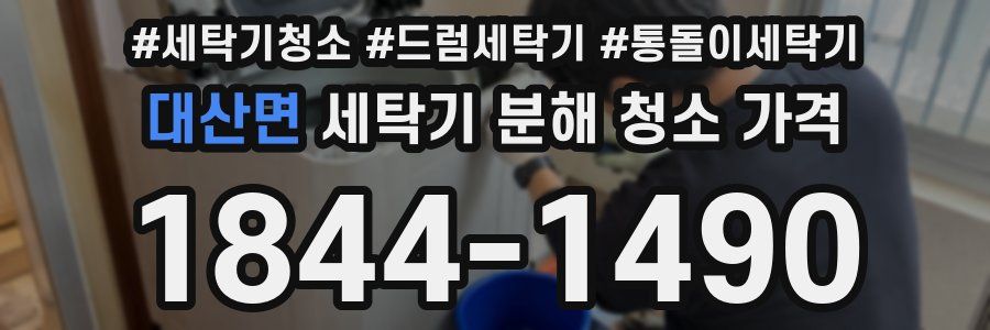 대산면 세탁기 분해 청소 가격