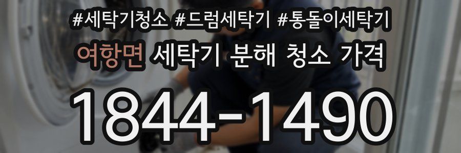 여항면 세탁기 분해 청소 가격