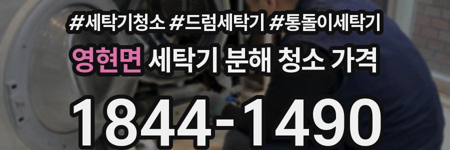 영현면 세탁기 분해 청소 가격
