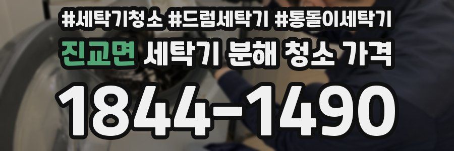 진교면 세탁기 분해 청소 가격
