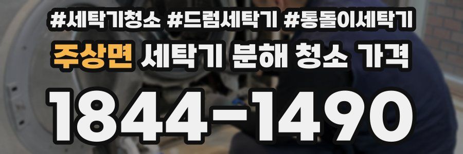 주상면 세탁기 분해 청소 가격