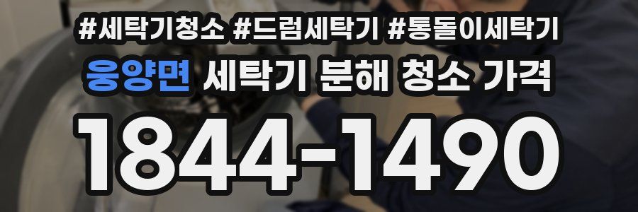 웅양면 세탁기 분해 청소 가격