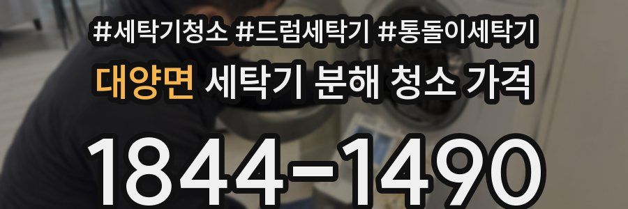 대양면 세탁기 분해 청소 가격