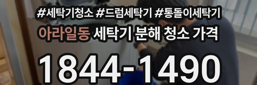 아라일동 세탁기 분해 청소 가격