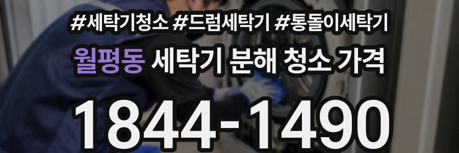 월평동 세탁기 분해 청소 가격