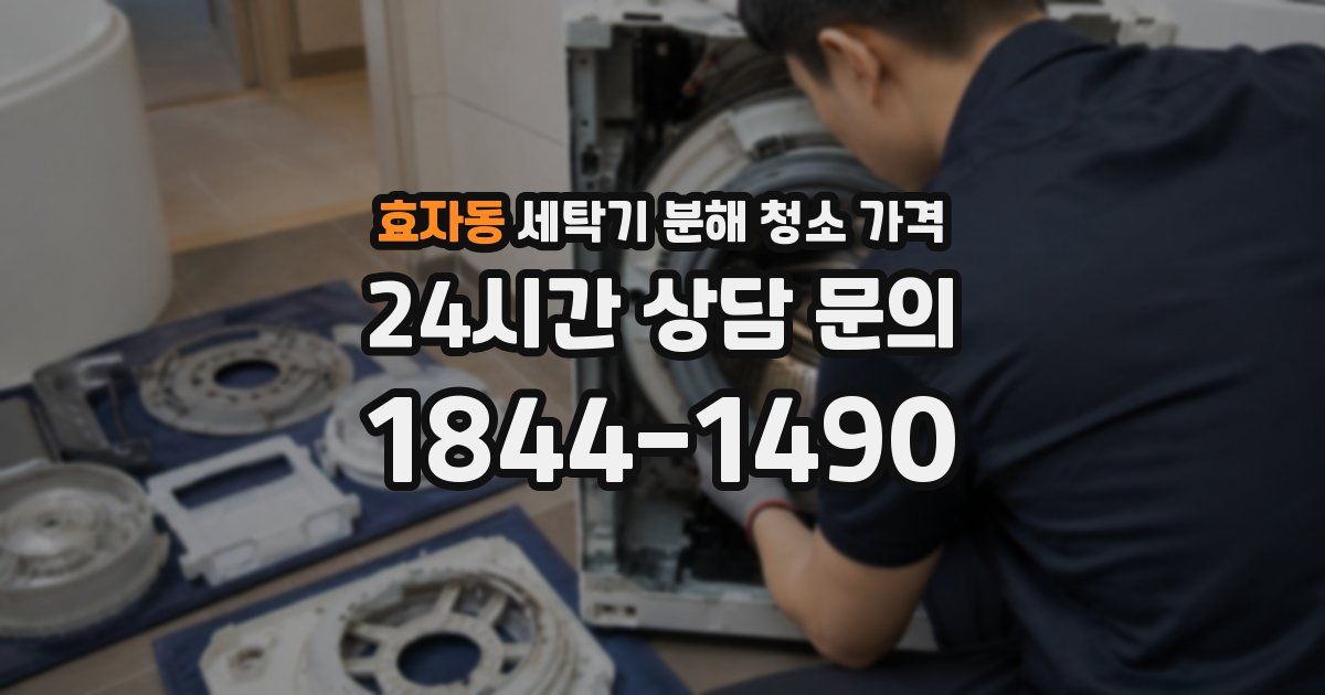 효자동 세탁기 분해 청소 가격