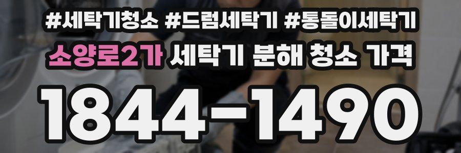 소양로2가 세탁기 분해 청소 가격
