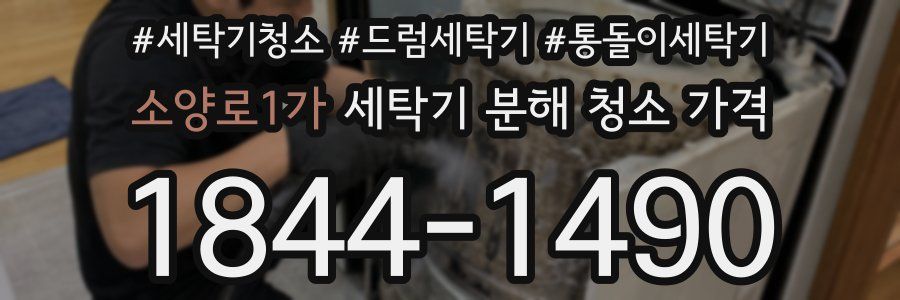 소양로1가 세탁기 분해 청소 가격