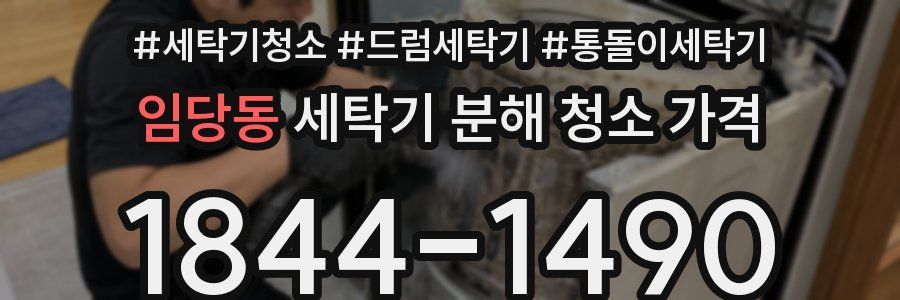 임당동 세탁기 분해 청소 가격