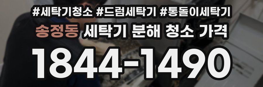 송정동 세탁기 분해 청소 가격