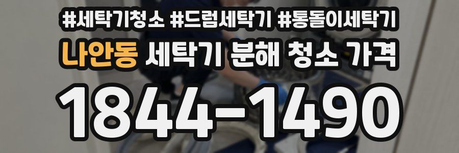 나안동 세탁기 분해 청소 가격