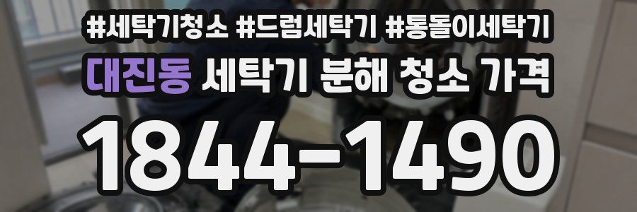 대진동 세탁기 분해 청소 가격