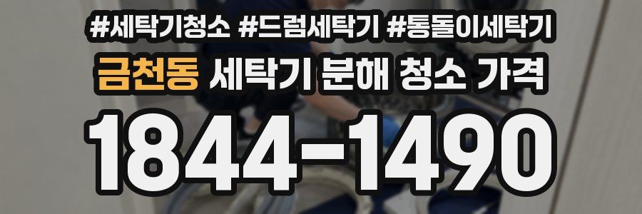 금천동 세탁기 분해 청소 가격